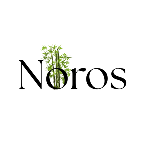 Noros
